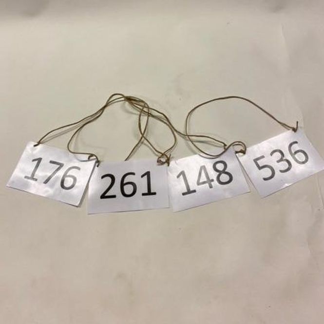 Hovedbilde Startnummer