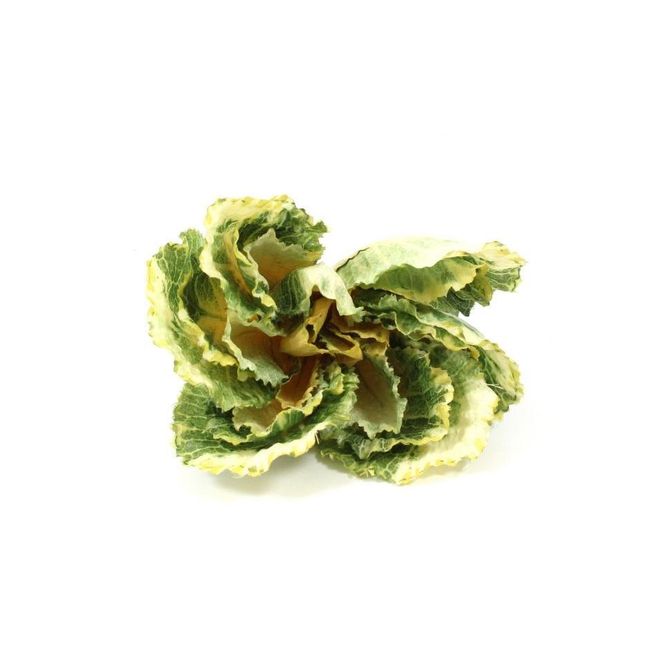 Hovedbilde Salatblader